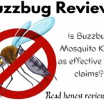 buzzbug reviews